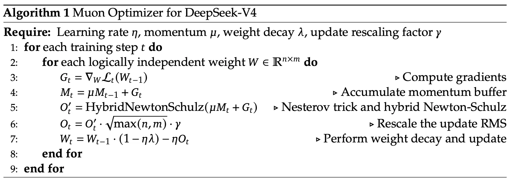 Muon optimizer pseudocode