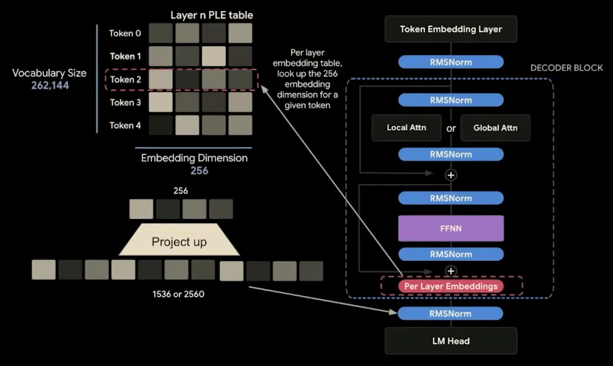 Per-Layer Embeddings